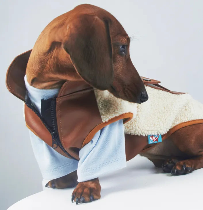 Small leather pocket pet coat for cats and dogs in lambswool and lamb fleece, black colour, side view showing pocket