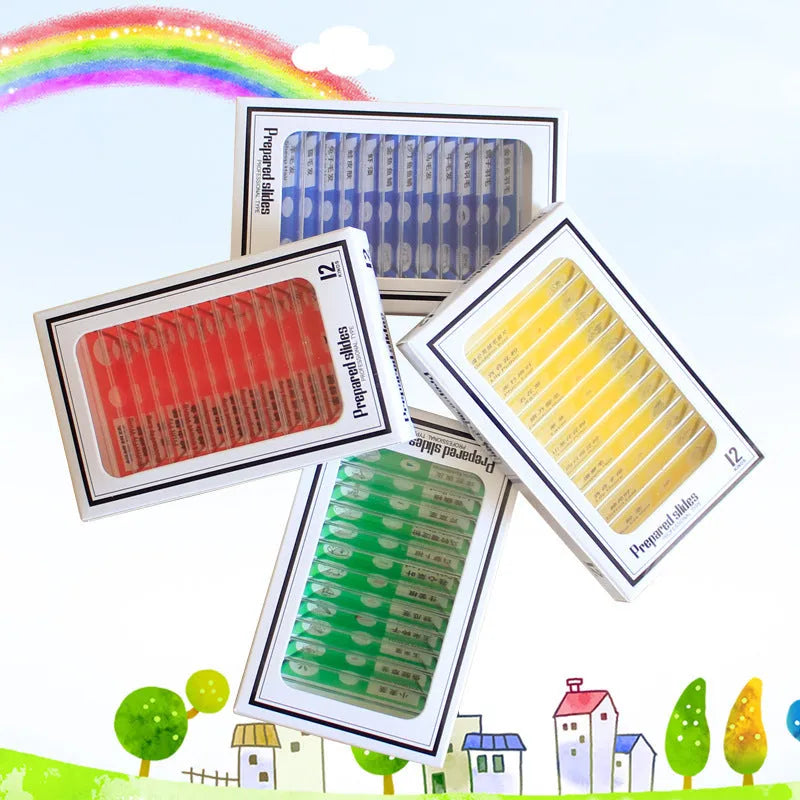 48 plastic educational microscope slides with plant and animal specimens in red, green, yellow, blue boxes.