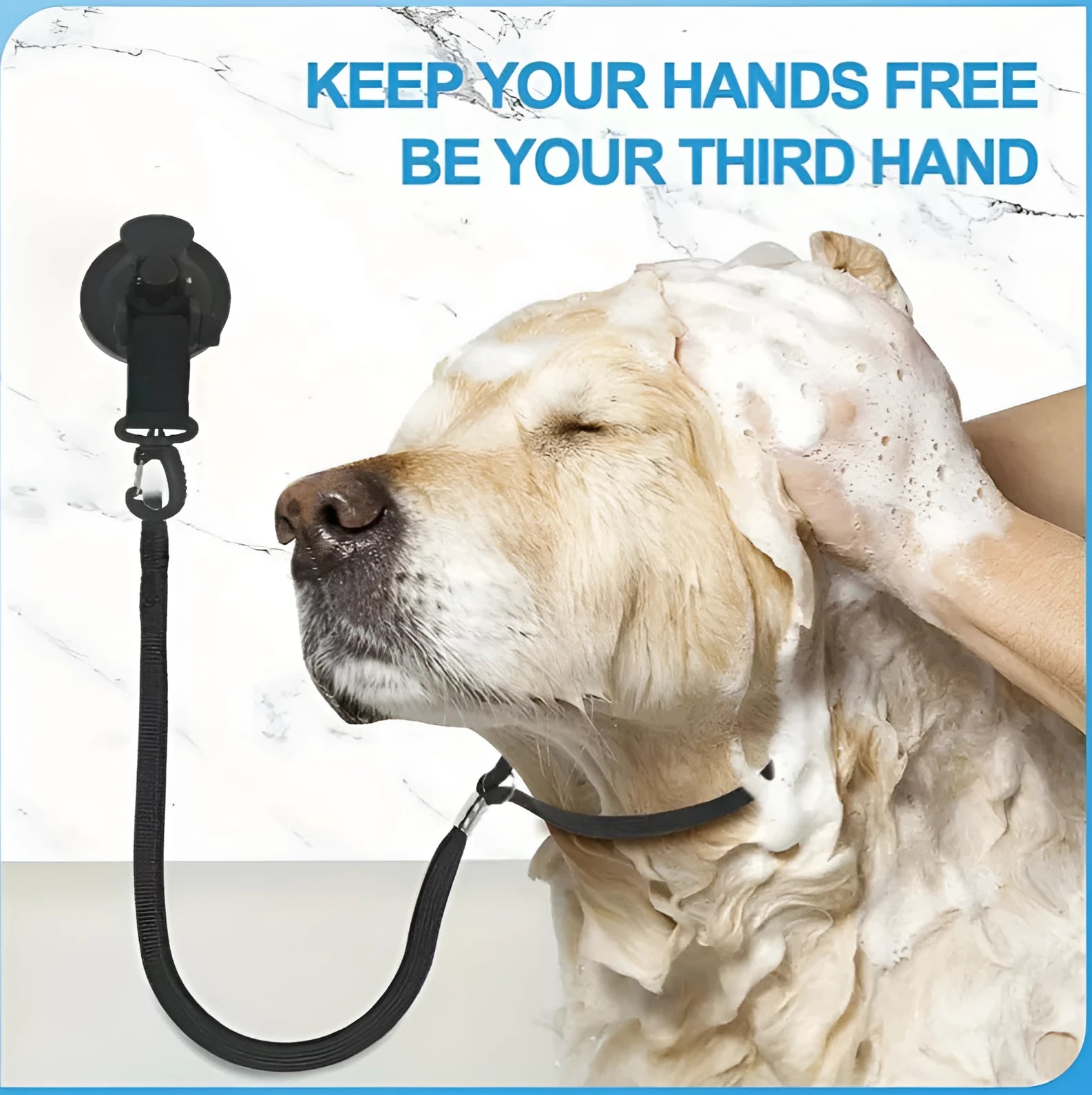 Finished pet bathing restraint with suction cups and traction rope on a blue background.