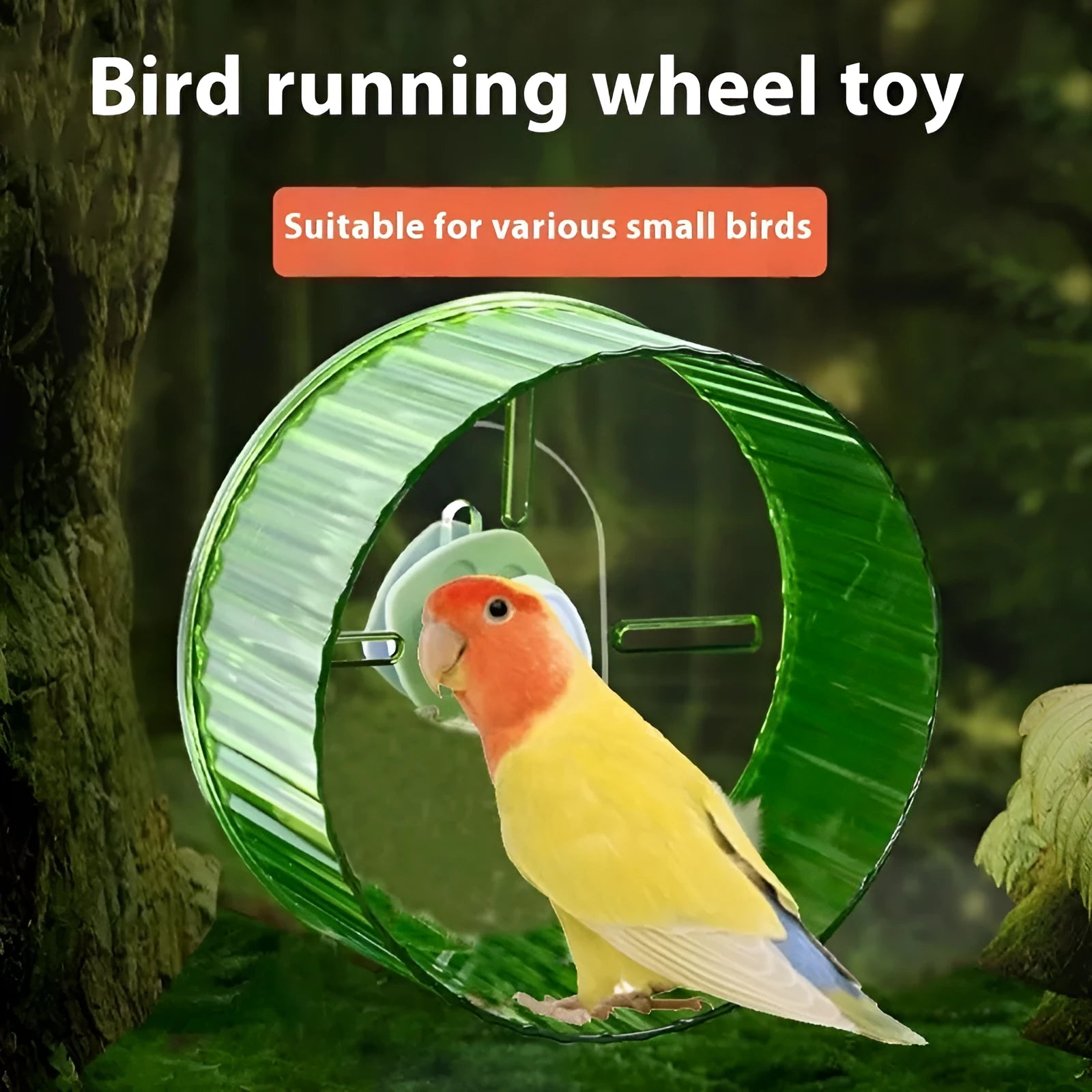 21cm plastic bird running wheel toy in transparent, green, grey, orange, or purple colour options