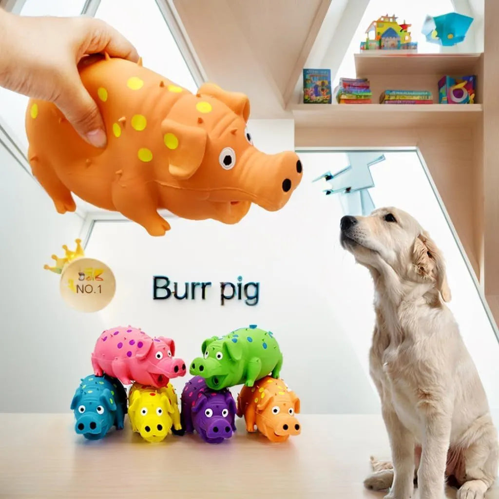 Blue latex pig-shaped dog chew toy with textured surface for teeth cleaning