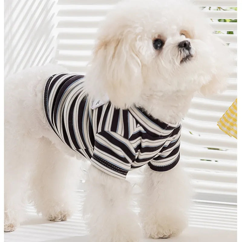 Striped two-legged pet shirt for small dogs and cats, available in yellow-brown bear patch or black-white cat patch, sizes XS to XXL.