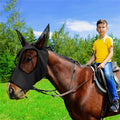 Lycra horse fly mask with ears in check pattern available in multiple colours for UV sun protection