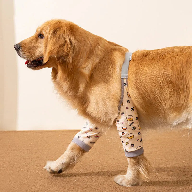 Blue dog knee protector with extra-thick padded elbow patch and adjustable buckle, shown with matching scarf
