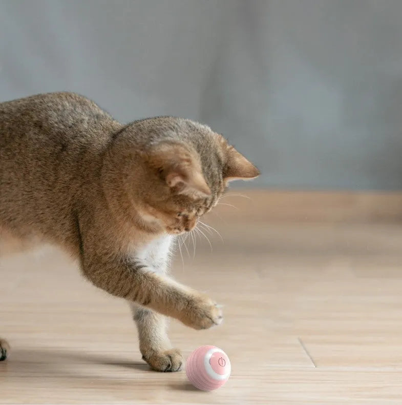 Blue automatic moving cat toy ball with self-bouncing technology on indoor floor