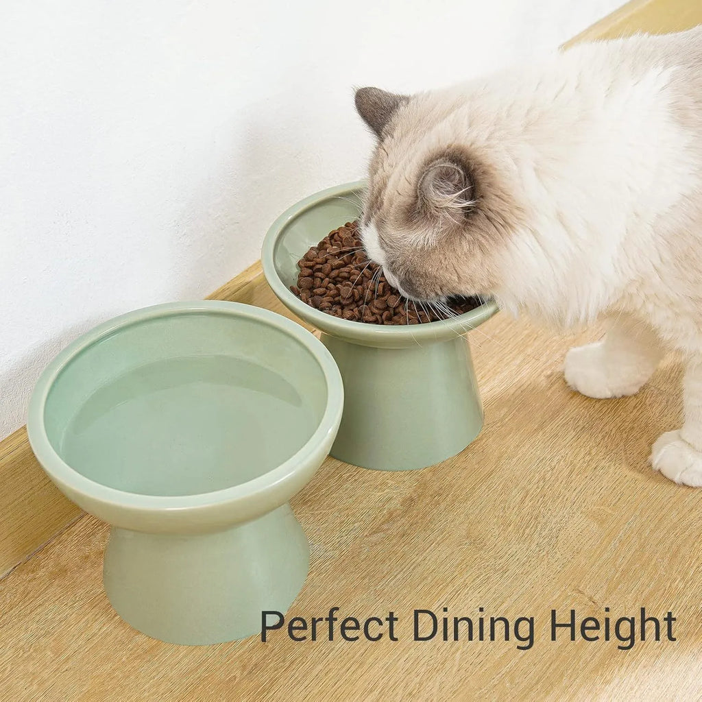 Blue ceramic elevated cat food bowl with wide shallow dish on a white surface.