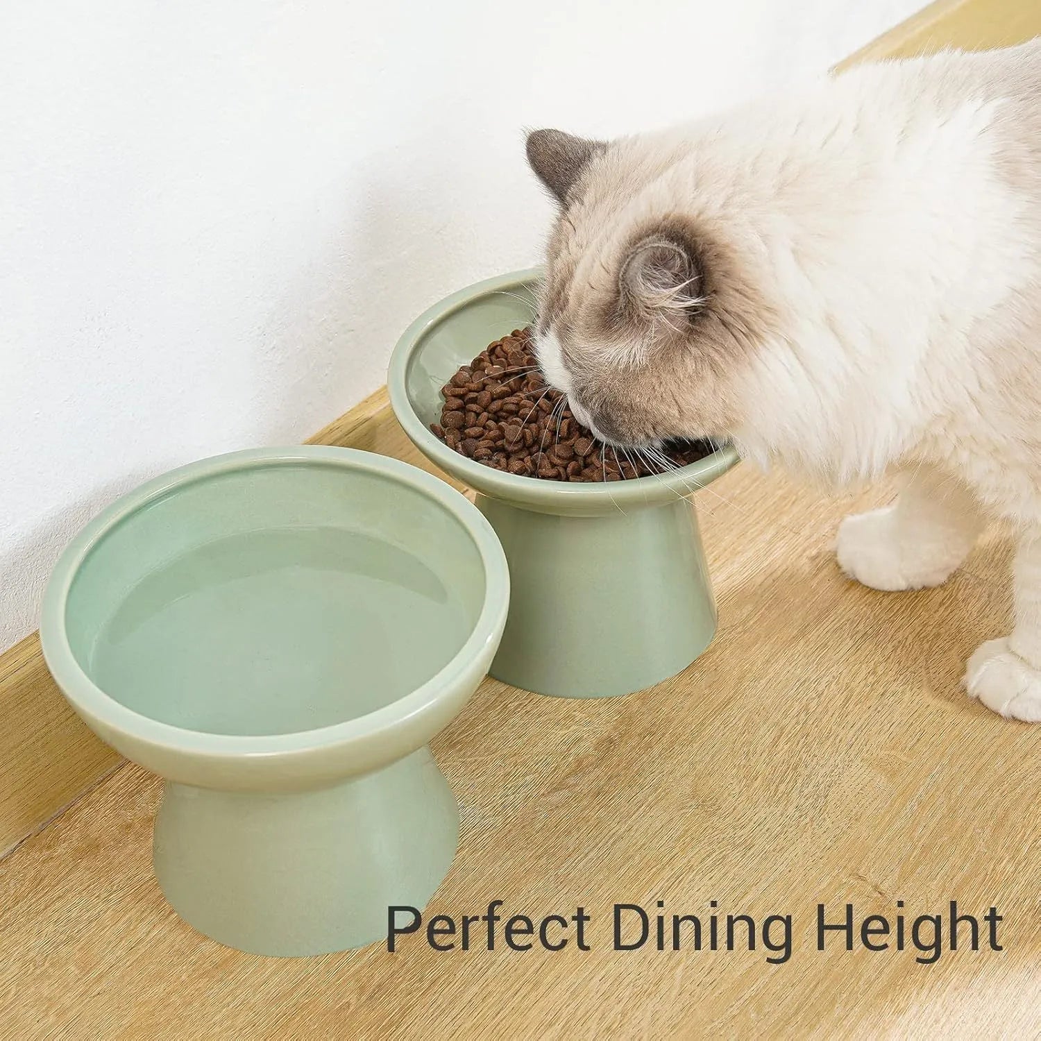 Blue ceramic elevated cat food bowl with wide shallow dish on a white surface.