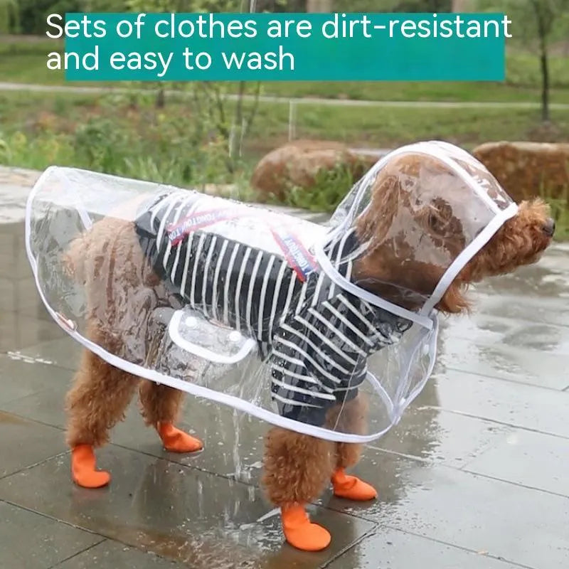 Blue plastic pet raincoat for small dog displayed on white background