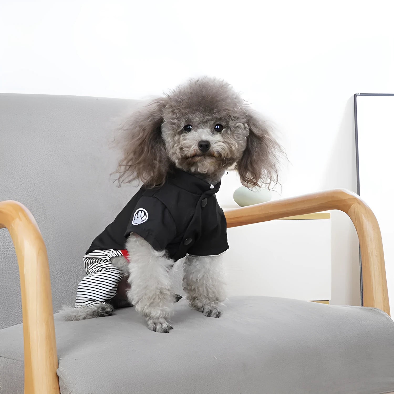 Lightweight cotton dog clothes in skirt and four-legged pants designs for seasonal pet wear