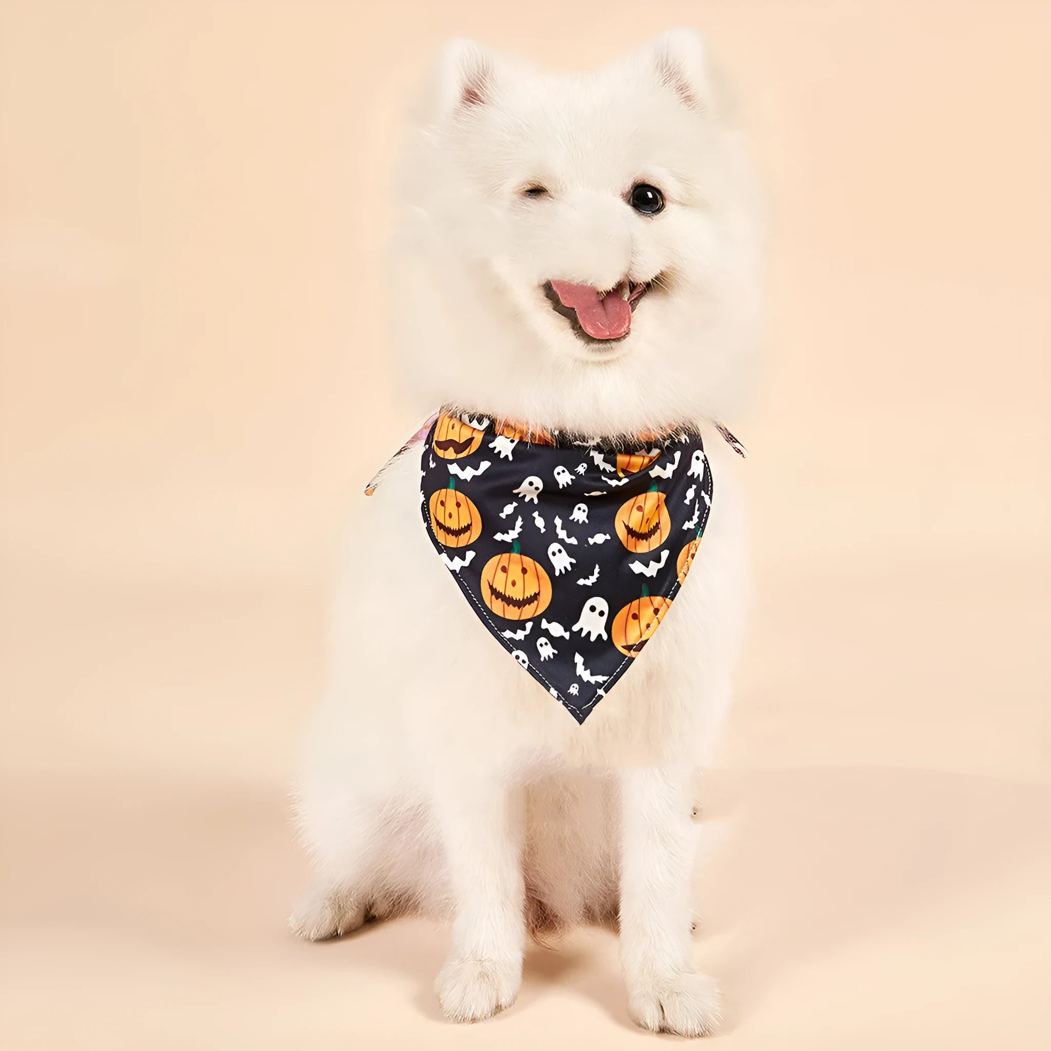 Halloween double-sided milk silk pet saliva towel with bat and spider web print