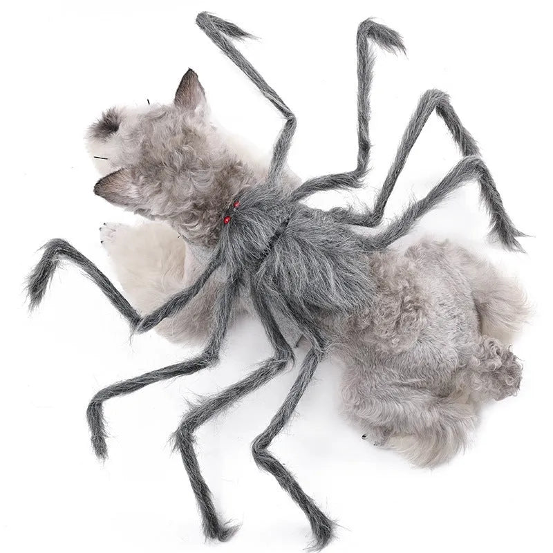 Halloween spider costume for pets in grey, brown, black and purple with leg straps