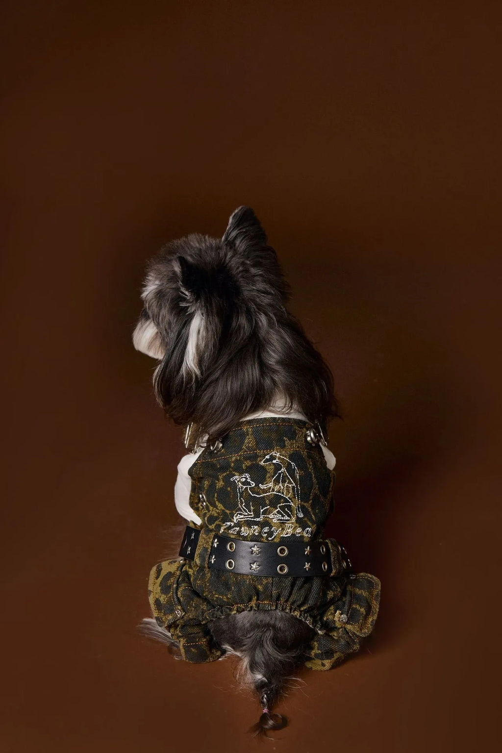 Dog wearing leopard print cotton overalls in a casual autumn outdoor setting