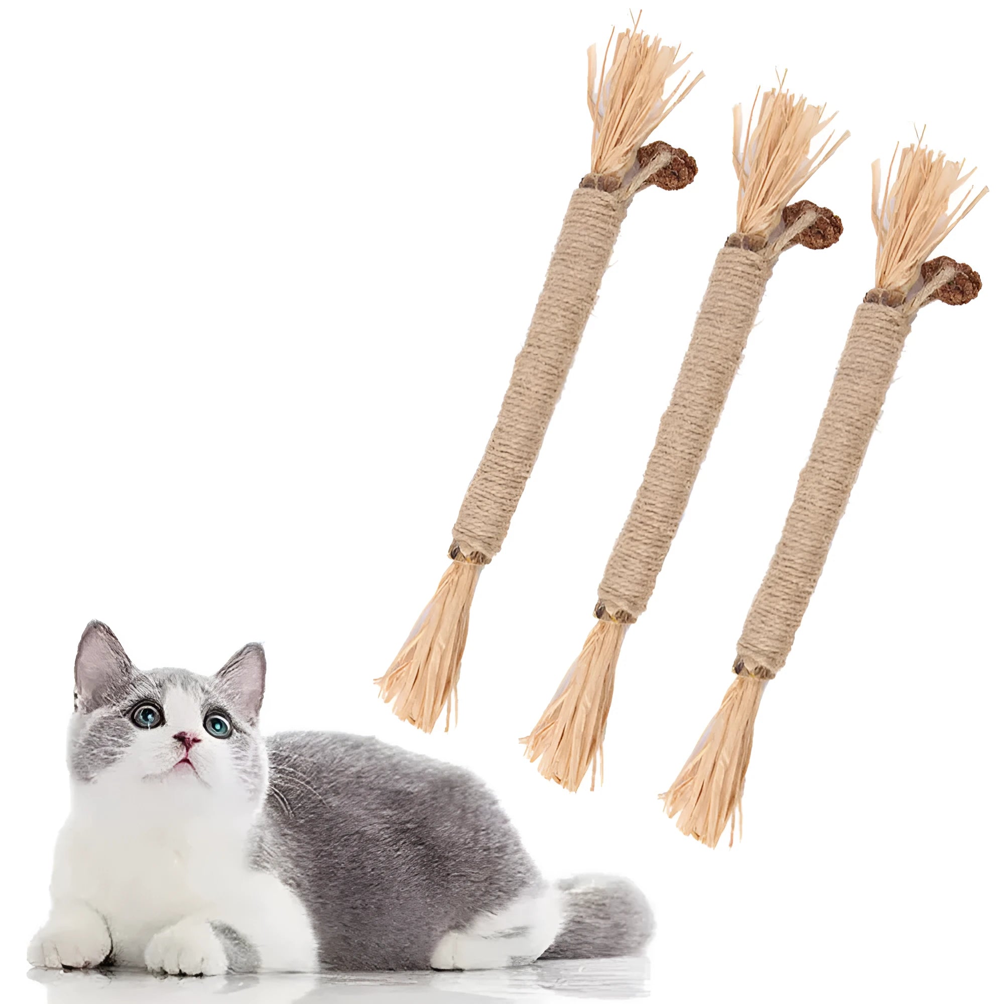 Natural silvervine chew sticks for cats in two diameter options for dental care and play