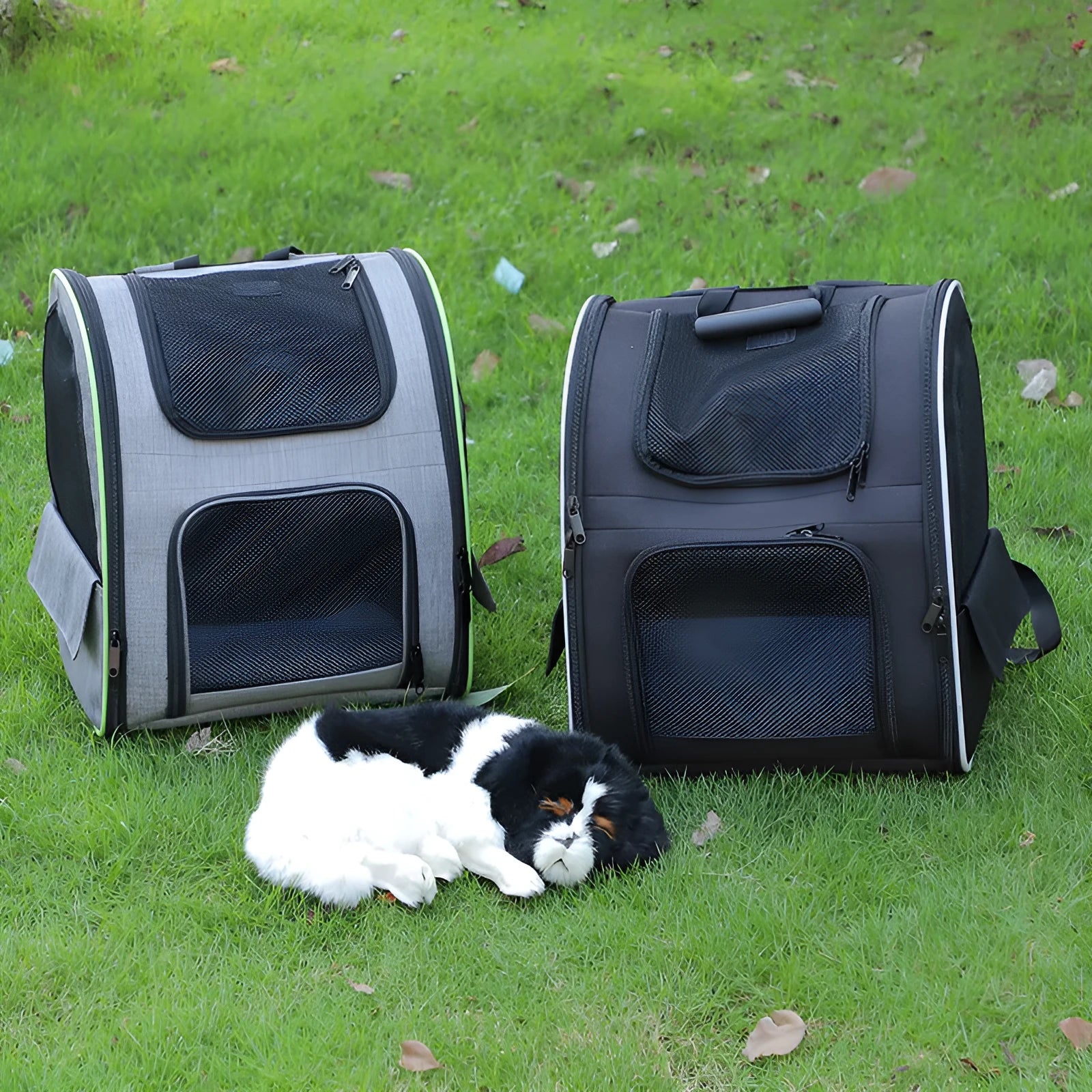 Outdoor portable backpack pet carrier in gray Oxford cloth with steel wire frame 35x28x42cm