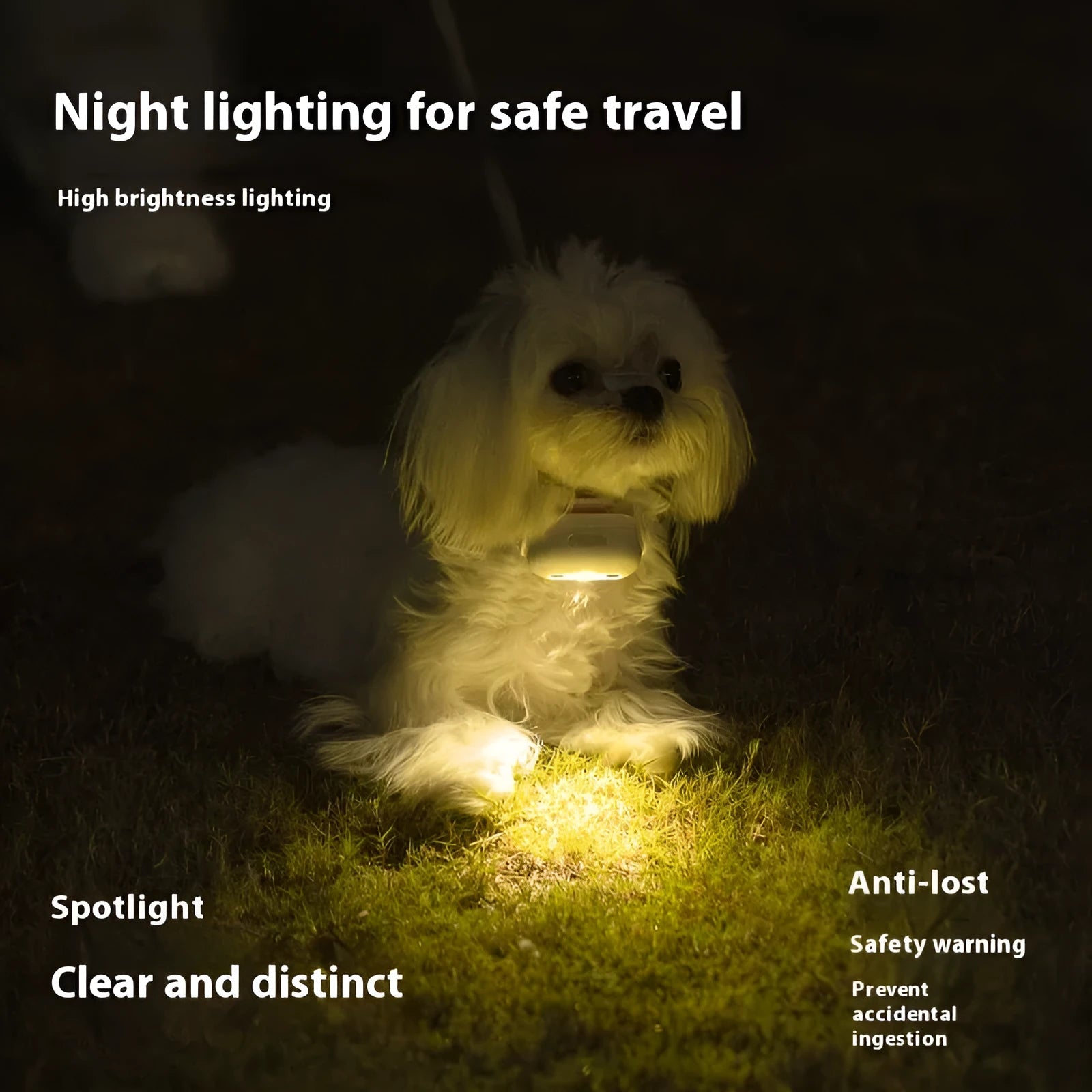 LED pet safety collar with hanging lamp ring in four colour options