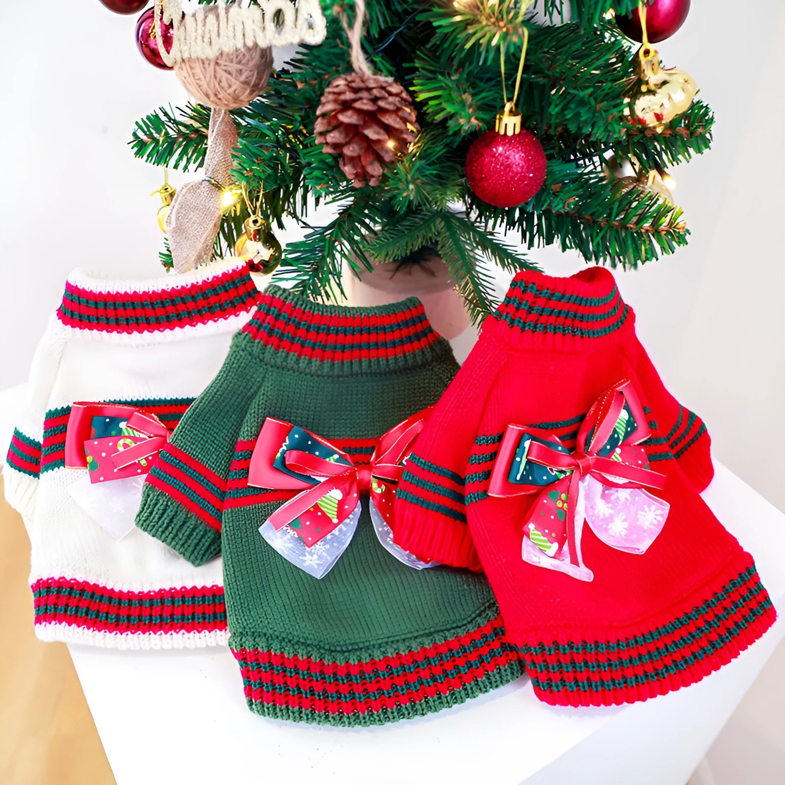Red and green Merry Christmas design dog jumper on a small pet, showing the festive pattern and knit construction.