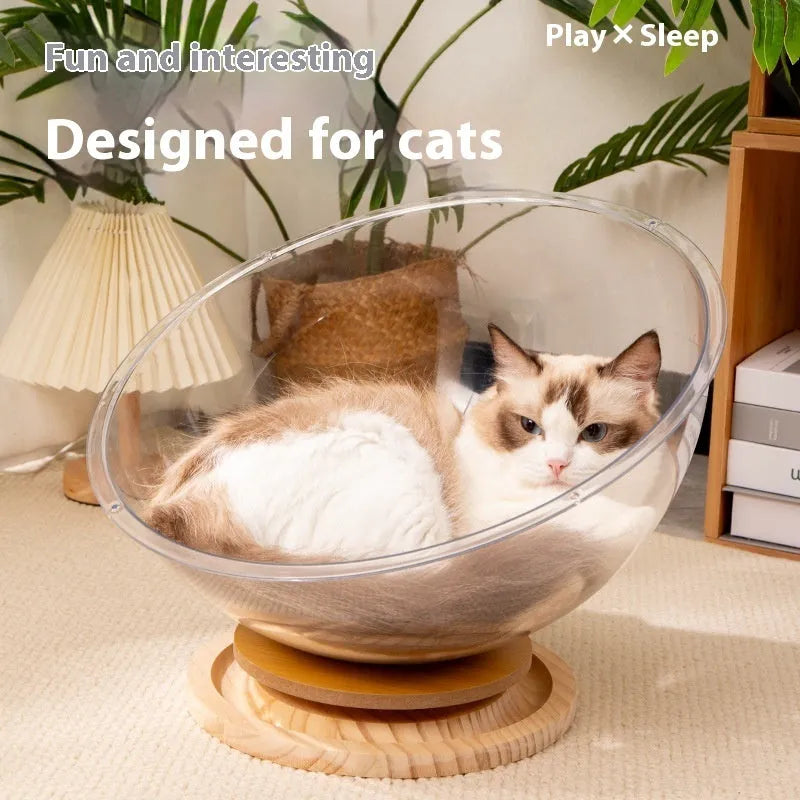 Transparent acrylic cat space capsule bed showing curved bathtub design