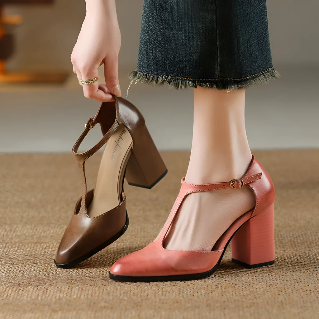 Women's dark brown retro pointed toe Mary Jane shoes with a buckle fastening.