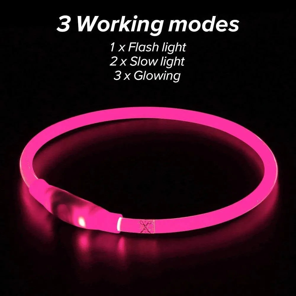 LED glowing dog collar with USB charging port and adjustable 70cm length