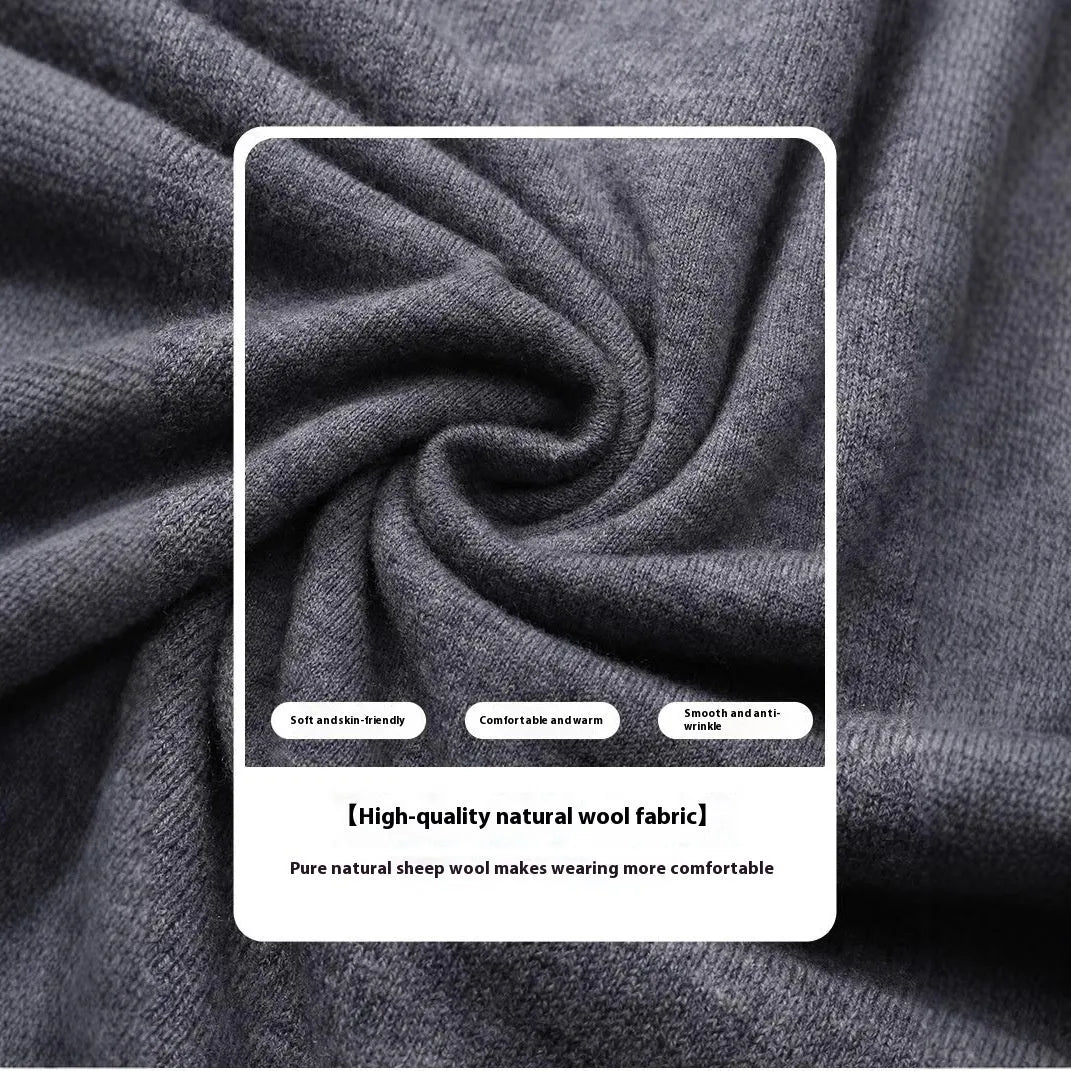 Men's standard wool pullover sweater in regular fit for business casual autumn winter wear
