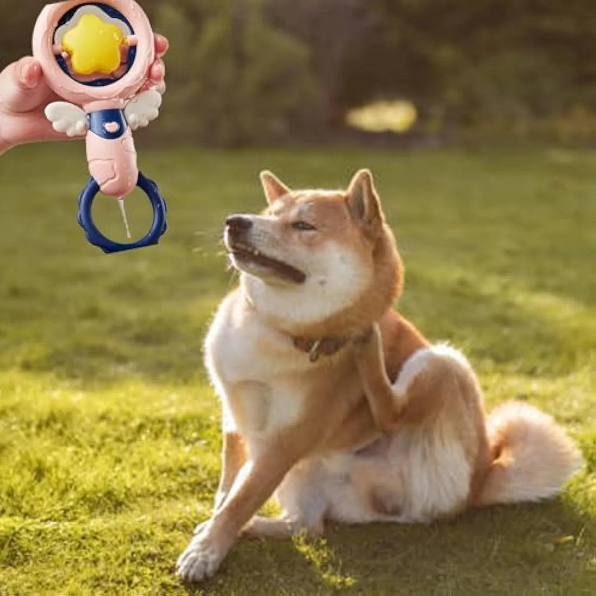 Set of four interactive dog toys with dental cleaning shapes and safety rings for large breed dogs