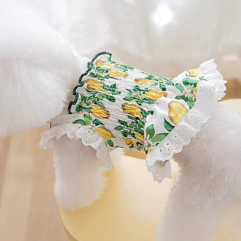 Rock yellow lemon polyester dog dress with thin breathable strap skirt, shown on a mannequin.