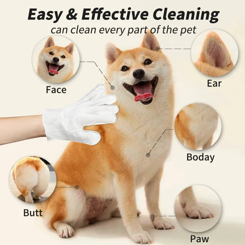 Extra thick pet disposable gloves dry cleaning cat dog 6 pack