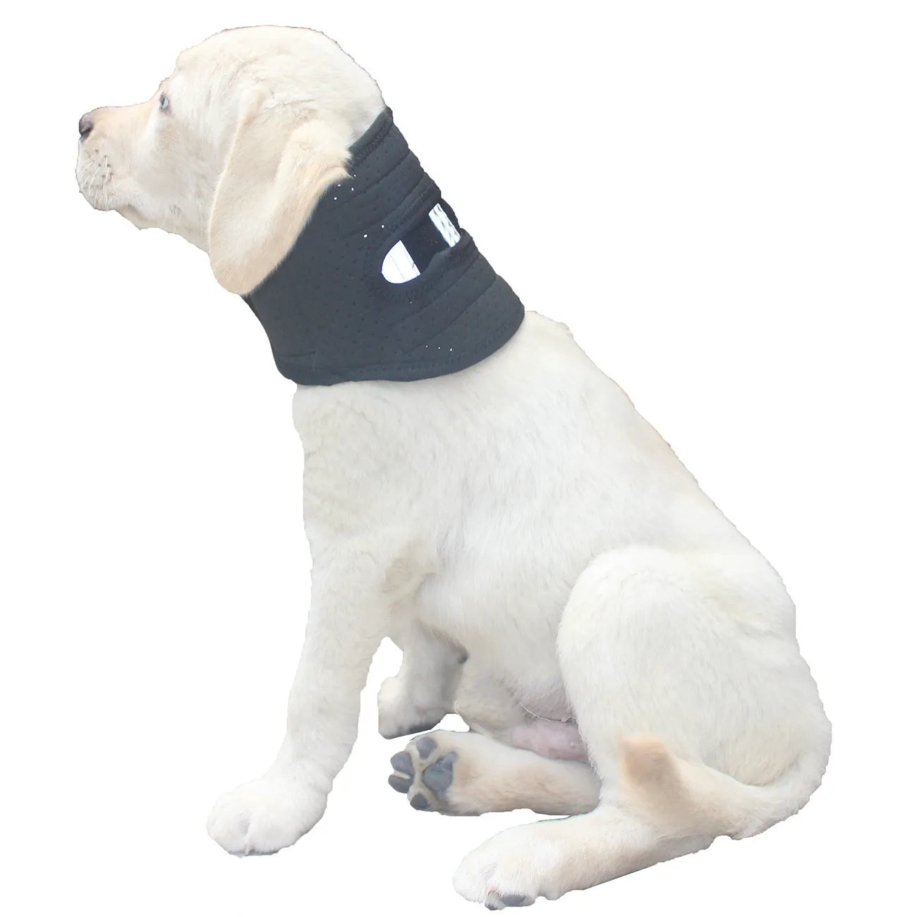 Adjustable dog support collar anti-licking head cover for small medium large dogs neck support