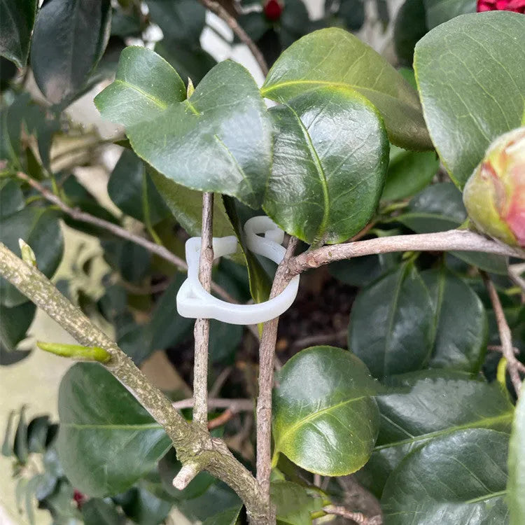 Cat-shaped plastic plant clip in four colours: red, yellow, green and white