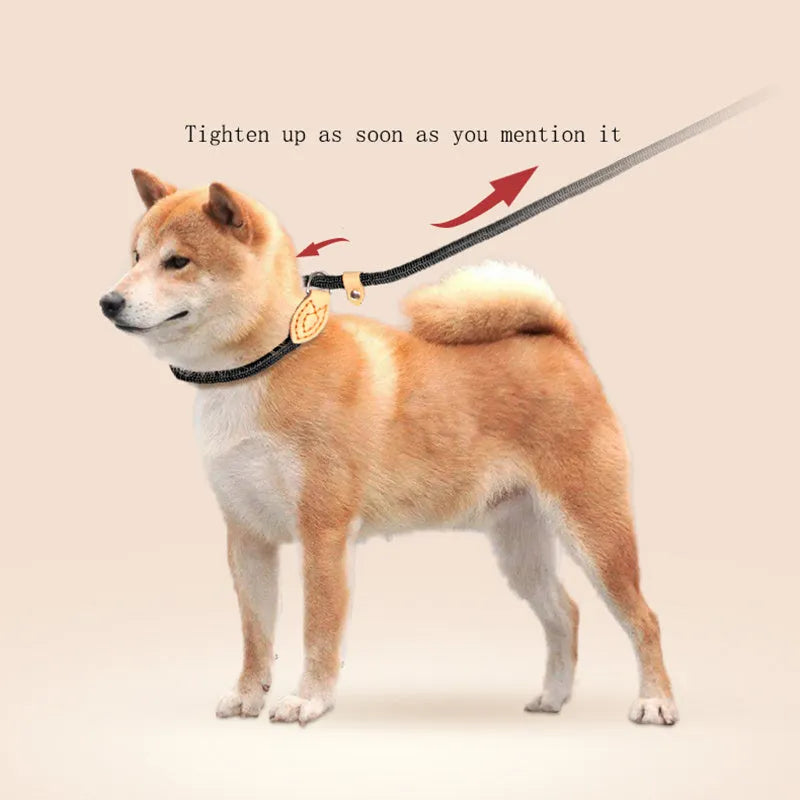Dog training leash with integrated automatic tightening collar in multiple colour options