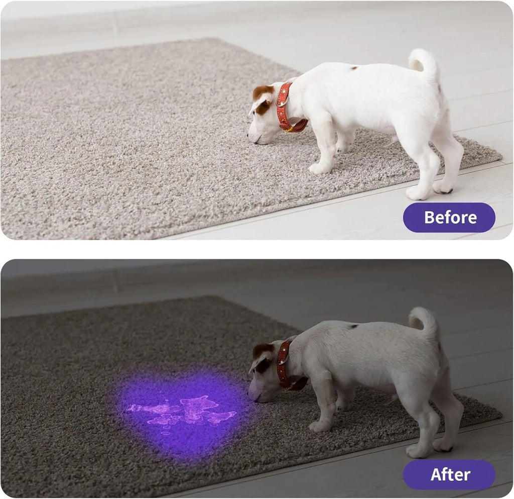 Black or silver UV flashlight torch for detecting pet urine, bed bugs, and scorpions