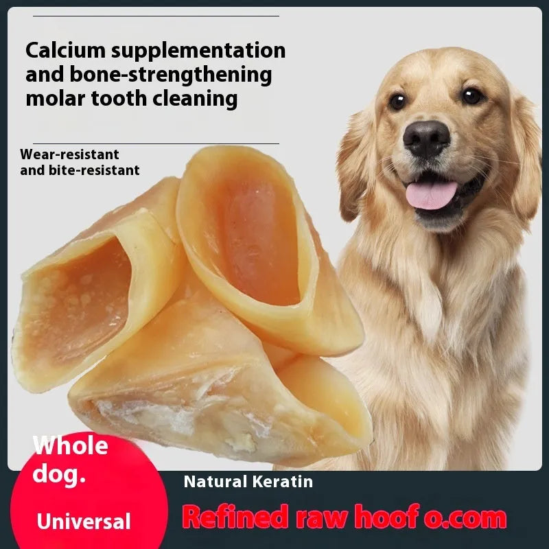 Natural cowhide dog chew toy with hoof shell appearance, shown in two size options for different dog breeds