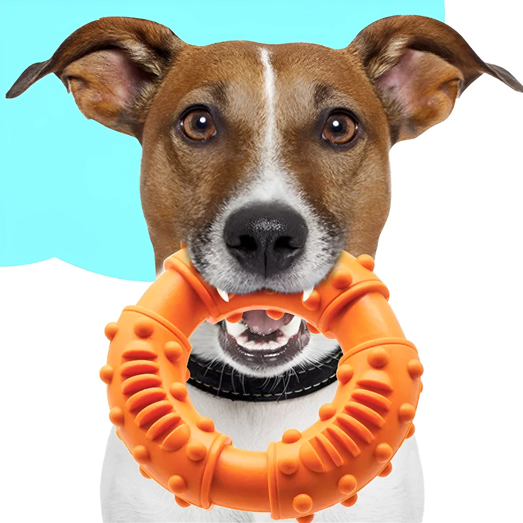 Blue lightweight dog fetching stick toy with hollow design for safe chewing and fetch games.