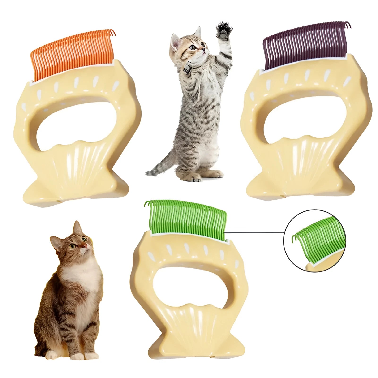Shell-shaped pet grooming brush for dogs and cats in green colour with anti-slip handle