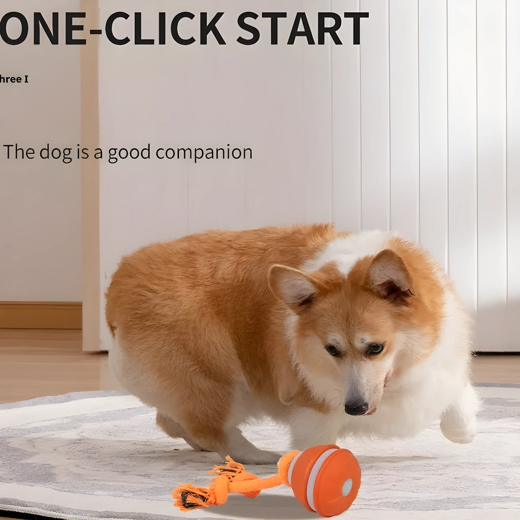 Electric rolling dog ball in bite-resistant plastic, shown in orange bird calling and blue regular styles