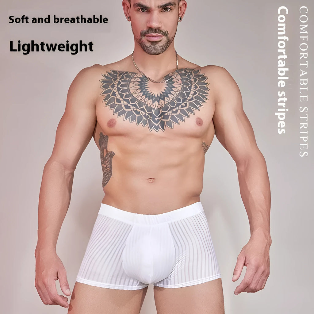 Men's black and white striped low-rise nylon briefs, thin transparent fabric.