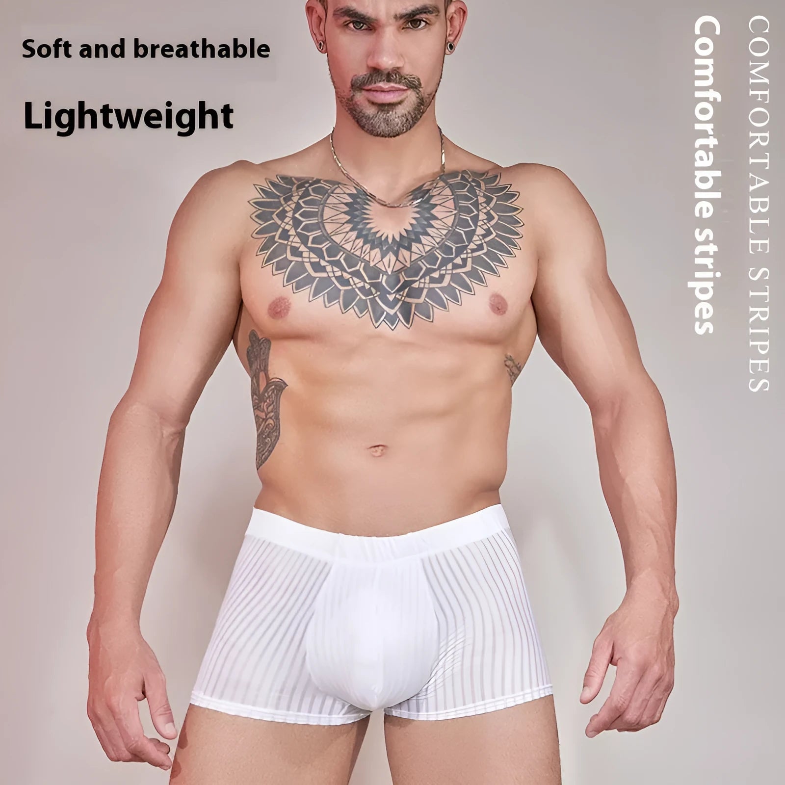 Men's black and white striped low-rise nylon briefs, thin transparent fabric.