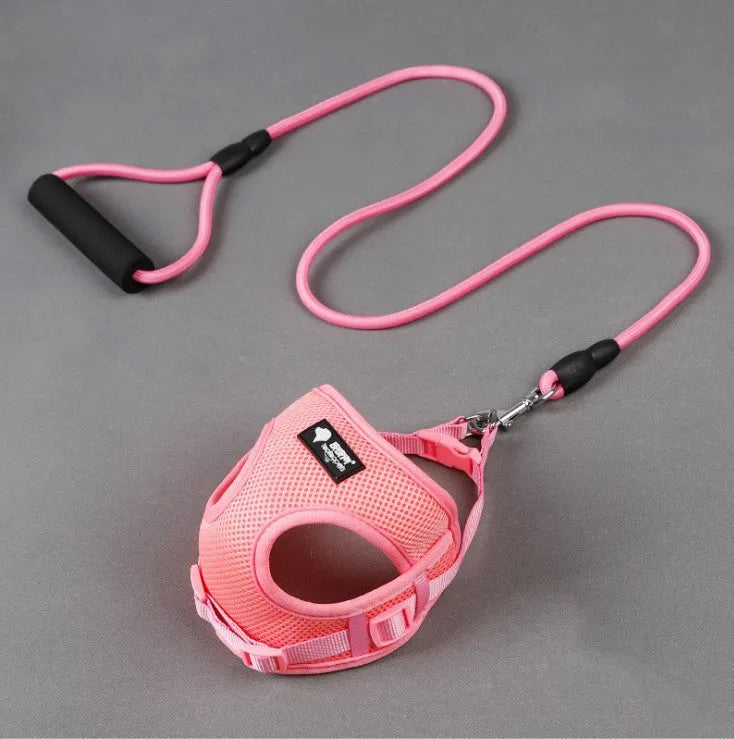 Blue round rope dog leash with foam handle and matching adjustable collar for 4-10kg dogs