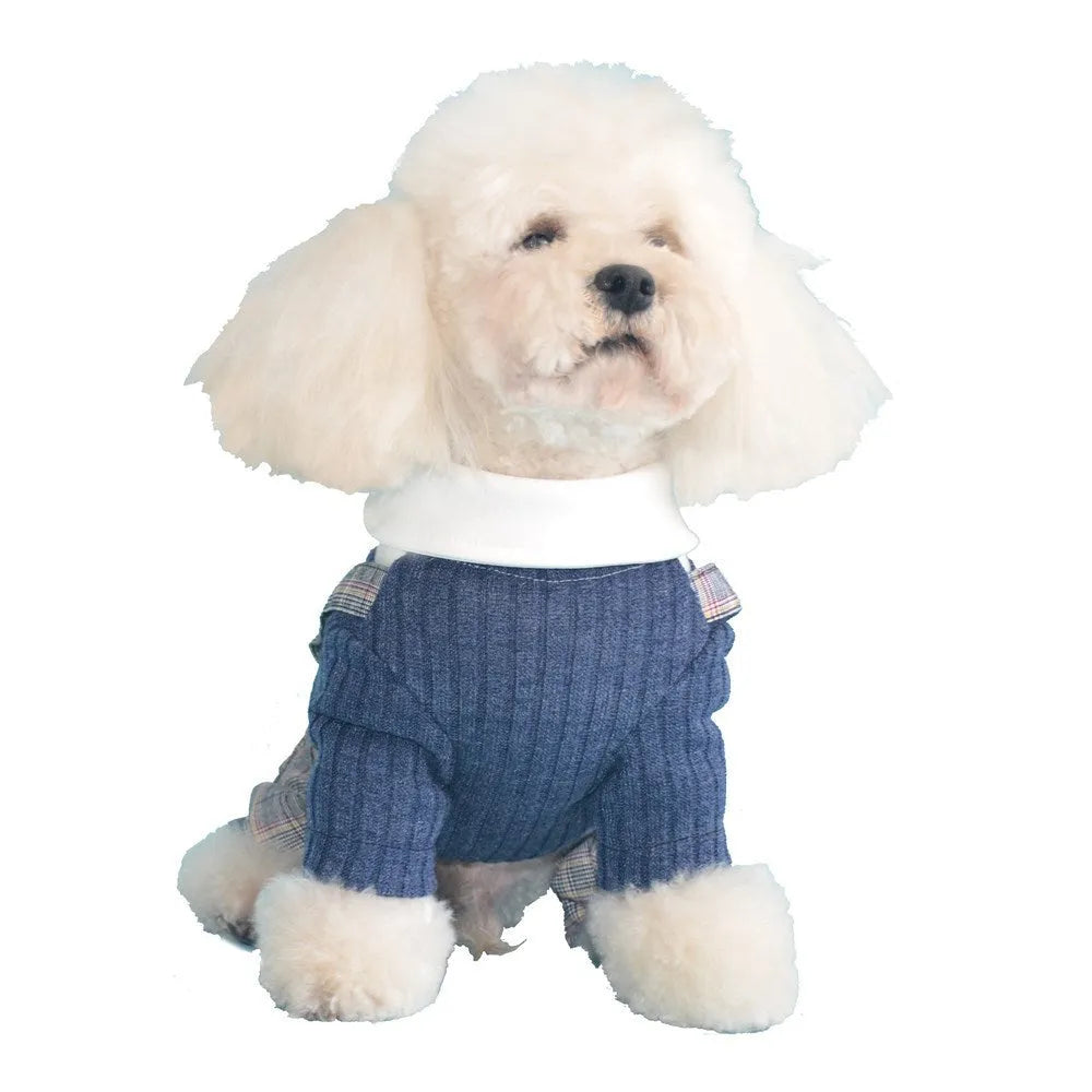 Orange and dark blue cotton dog suit shirt for small dogs in S to 2XL sizes