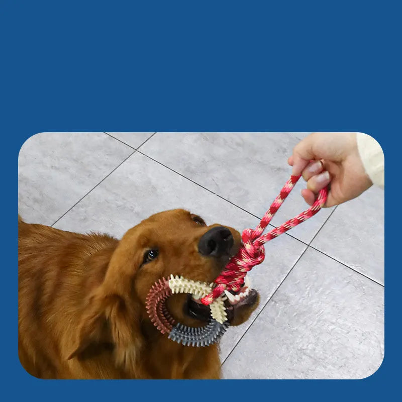 43cm colourful braided rope dog toy with knot sections for chewing and teeth cleaning