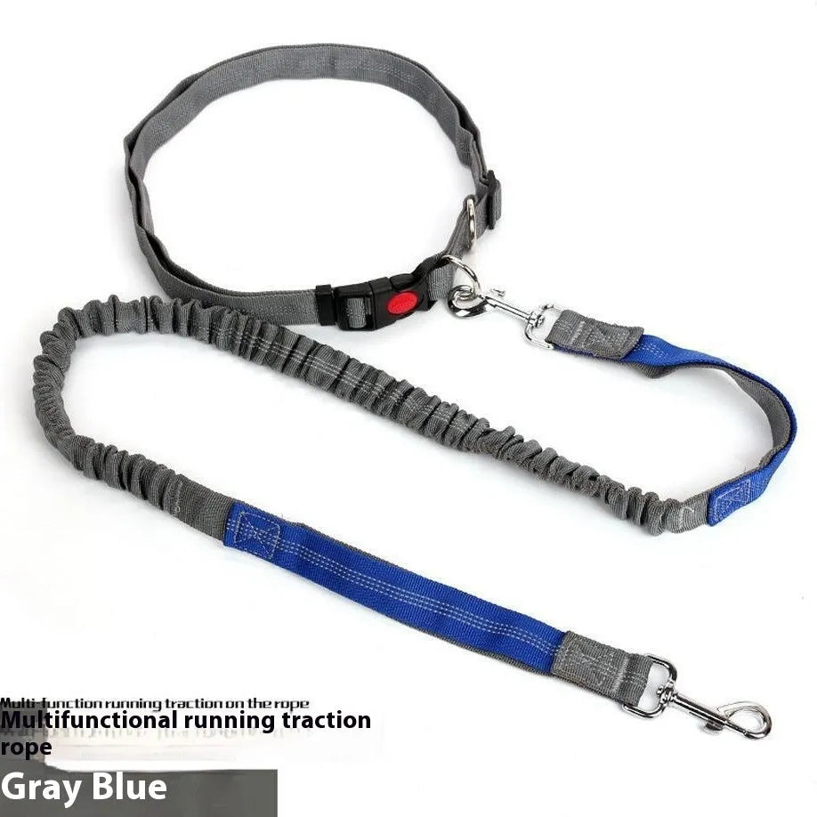 Reflective nylon dog leash with 2.5cm width shown in grey and green colour combination