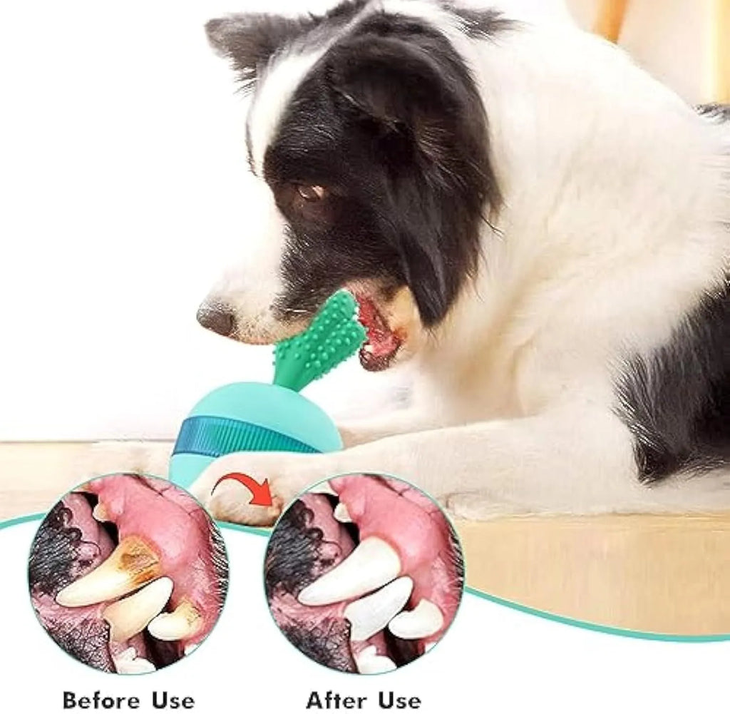Blue and green durable rubber treat dispensing dog toy with tumbler ball design