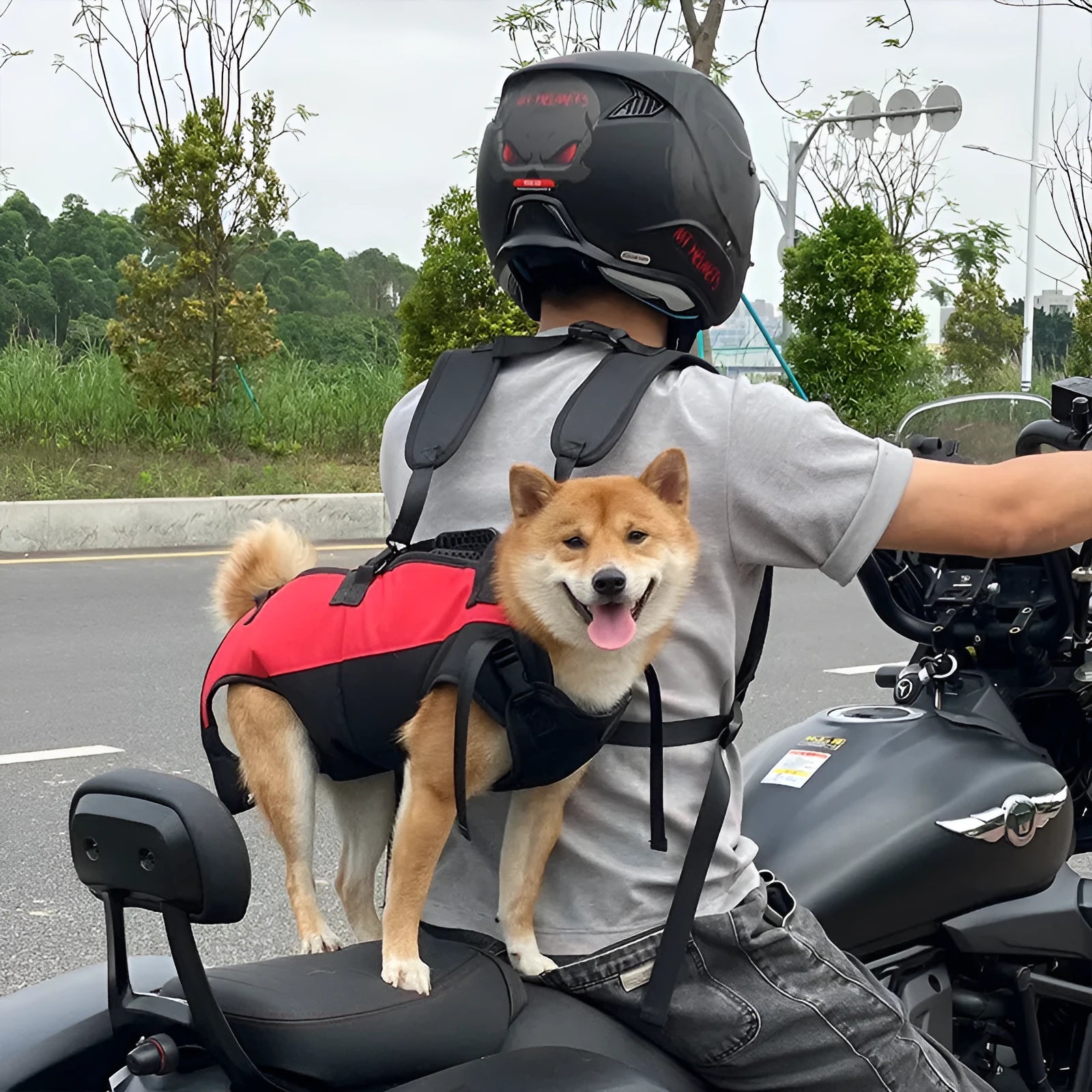 Multifunctional Oxford cloth pet backpack shown in black, designed for use as a backpack or an airborne walking stretcher.
