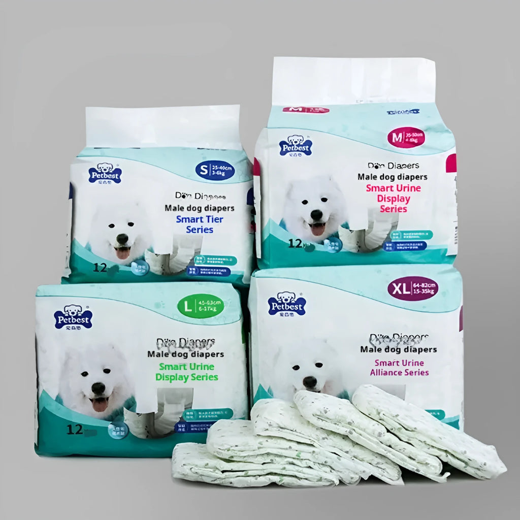 Petbest male dog diaper white disposable urine display incontinence product on plain background