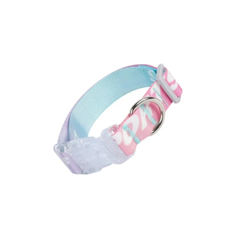 Adjustable dog collar with cartoon gradient printing in Panda Green colour