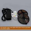 Programmable voice-controlled LED light strip, DC12V, FPCB black soft board, epoxy IP65 waterproof, multiple lengths