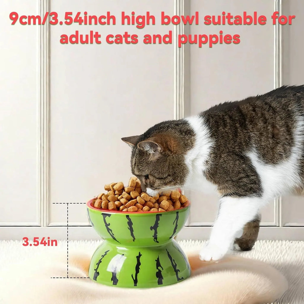 Ceramic elevated cat bowl with tilted design in orange, pitaya, or watermelon pattern.