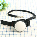 Retractable dog leash extended to 3 metres with holding hands grip in six colour options