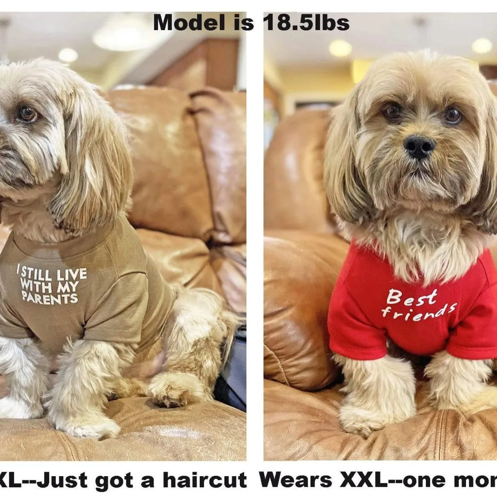 Round neck polyester pet T-shirt in red, blue, black, and khaki, sizes S to XXL