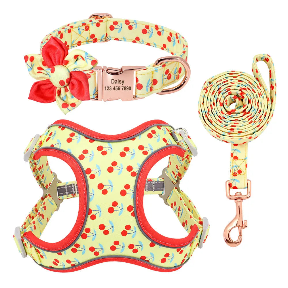 Small dog leash set with adjustable collar and towing rope in blue green red yellow colours
